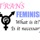 Illustration for article titled Trans Feminism: What is It? Is It Necessary?
